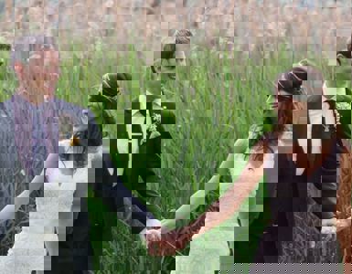 Daffodil | eco friendly wedding ideas ?? Daffodil