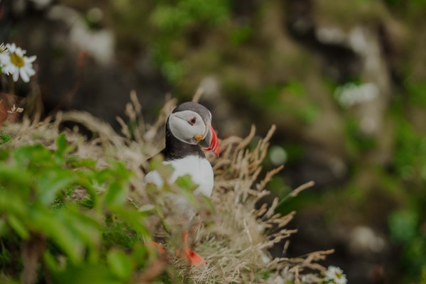Isle of Mull | Isle Of Mull Hotel And Spa Location00013