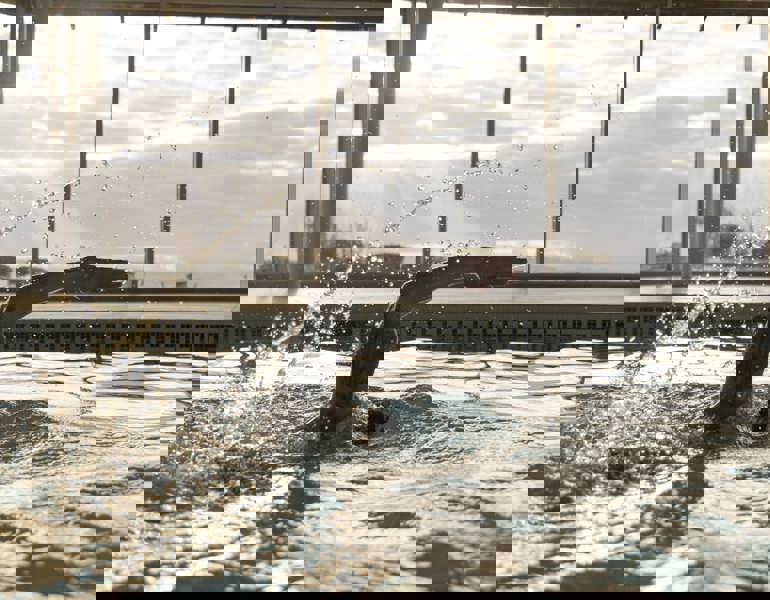 Crerar Group | The World of Wellbeing ?? Crerar Group