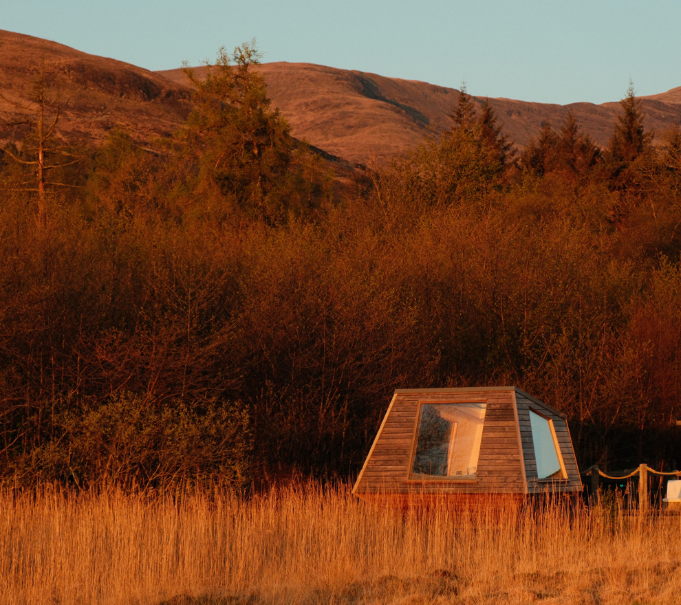 IOM Wilderness Deck Autumn