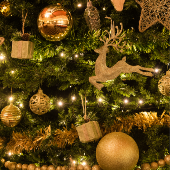 Dunkeld | Dunkeld House Hotel Festive00005