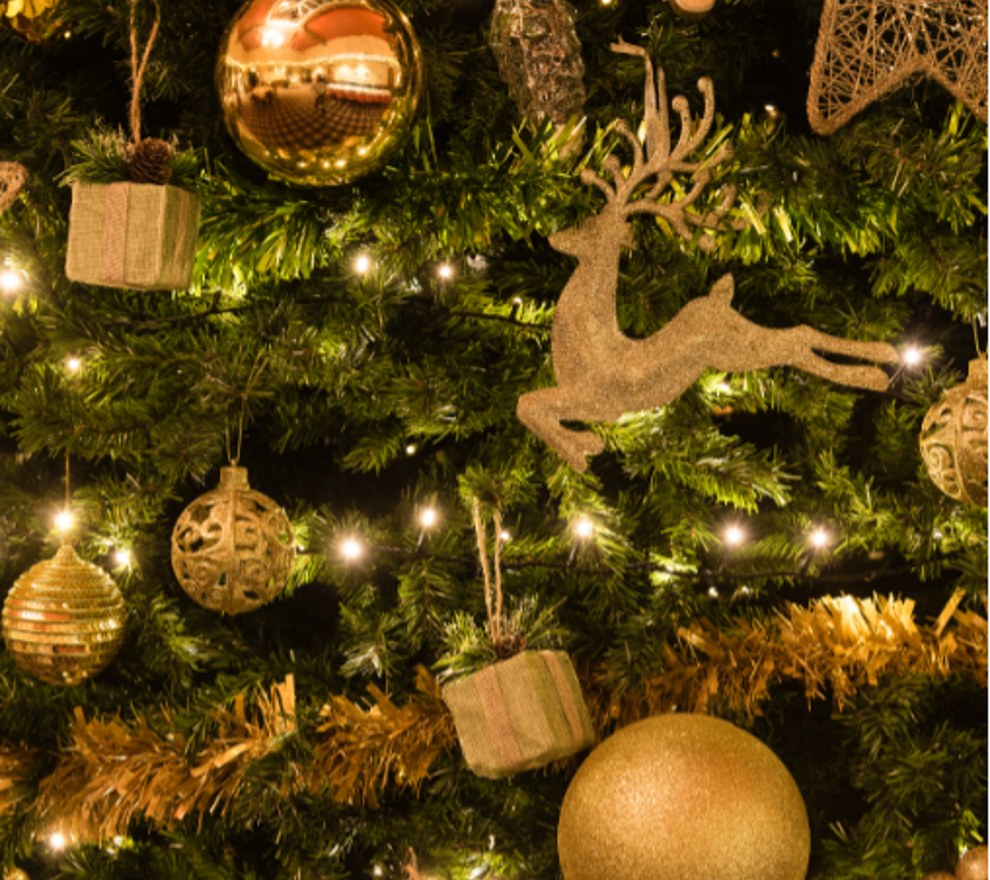 Dunkeld | Dunkeld House Hotel Festive00005