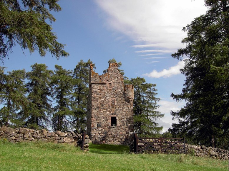 Knock Castle In Cairngorms National Park, Aberdeenshire