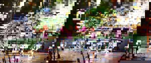 Daffodil | modern wedding traditions ?? Daffodil