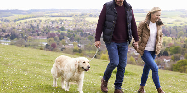 Daffodil | dog friendly staycation destinations uk ?? Daffodil
