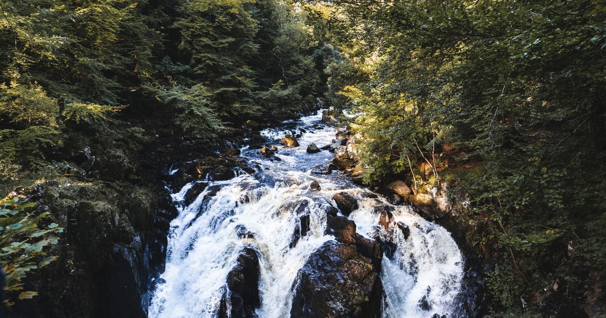 Dunkeld Spring Things to do in Dunkeld and Perthshire | Local landmarks