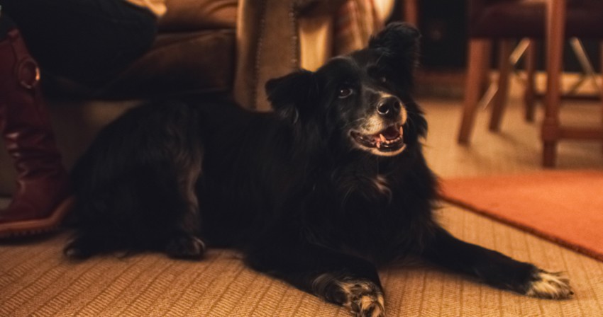 Balmoral Arms | Balmoral Arms Lifestyle00001