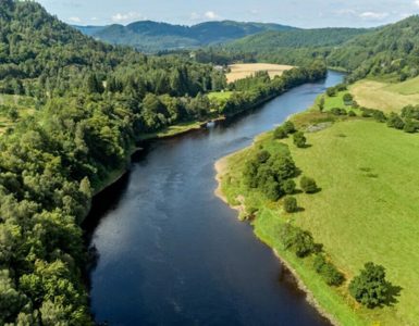 Dunkeld | Conserve Perthshire’s Trees ?? Dunkeld