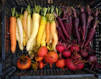 Dunkeld | The Kitchen Garden at Dunkeld House Hotel ?? Dunkeld