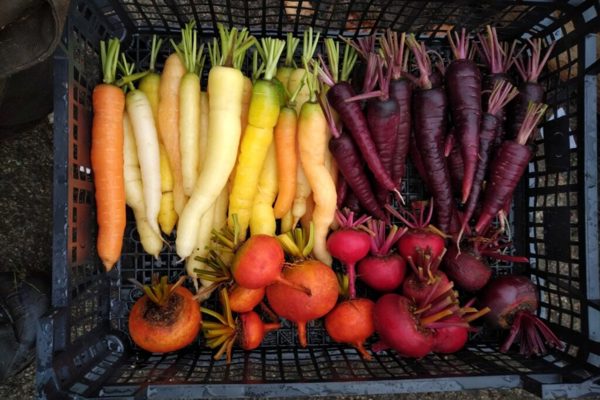 Dunkeld | The Kitchen Garden at Dunkeld House Hotel ?? Dunkeld
