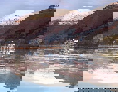 Daffodil | Ultimate Guide to Mountains in the Lake District hero ?? Daffodil