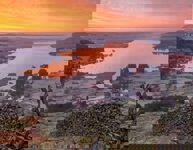 Daffodil | Sunset Views in The Lake District ?? Daffodil