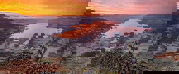 Daffodil | Sunset Views in The Lake District ?? Daffodil