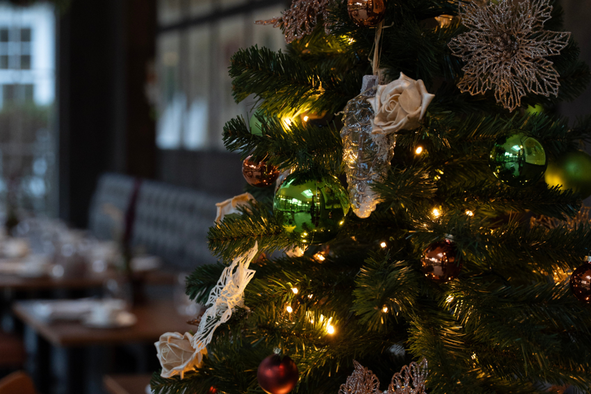 DHH Xmas Tree