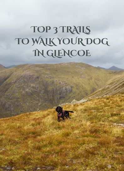 Glencoe Inn | Blog Covers (3)