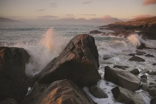 Crerar Group | Dsc 0163