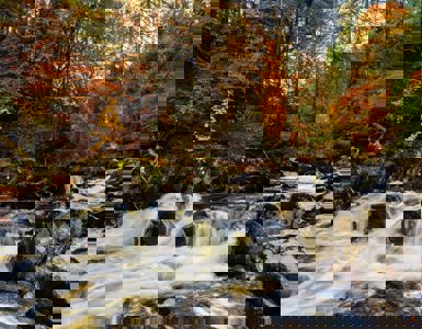 Dunkeld | The Corbenic Poetry Path ?? Dunkeld