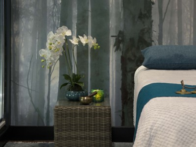 Isle Of Mull Hotel And Spa Spa Driftwood Spa Single Treatment Suite Darker