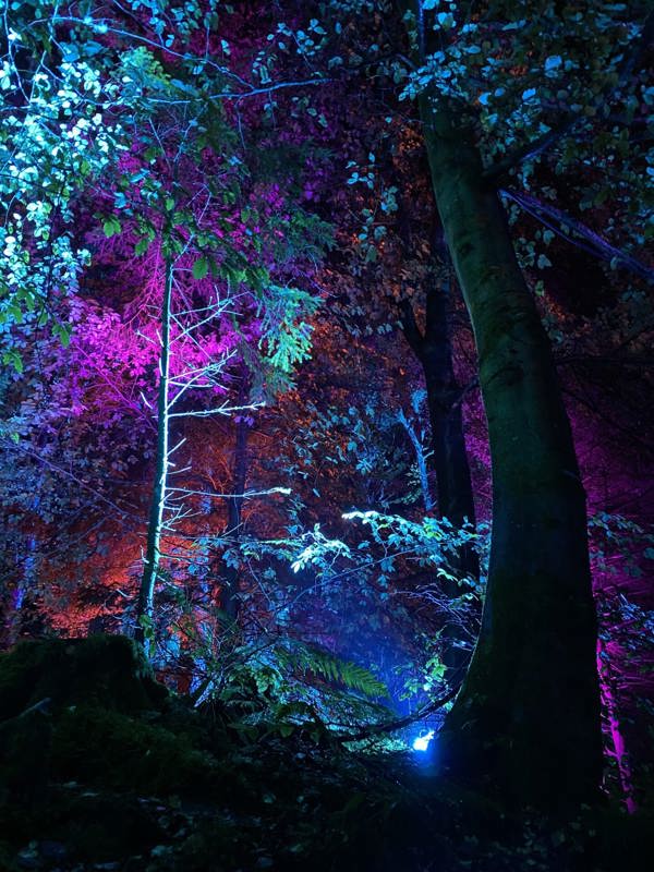 Enchanted Forest Pitlochry