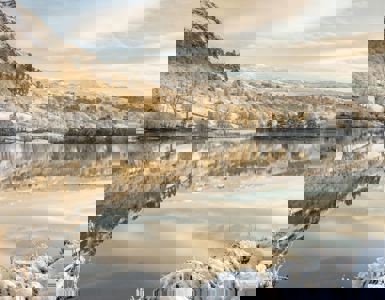 Daffodil | Winter Things To Do in the Lake District ?? Daffodil