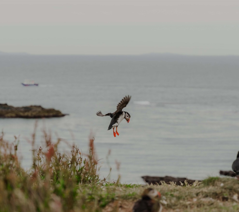 Isle of Mull | Isle Of Mull Hotel And Spa Location00010