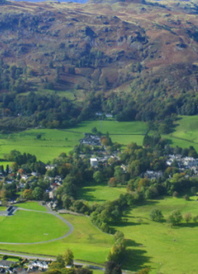 Daffodil | Day Trips & Things To Do Near Grasmere ?? Daffodil