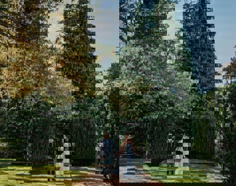 Dunkeld | 80828018 3372305616175666 7551941430072049664 O 1