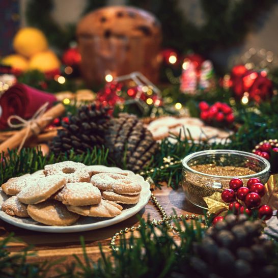 Daffodil | christmas blog hero