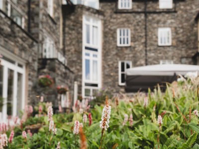 Daffodil | Daffodil Afternoon Tea Set