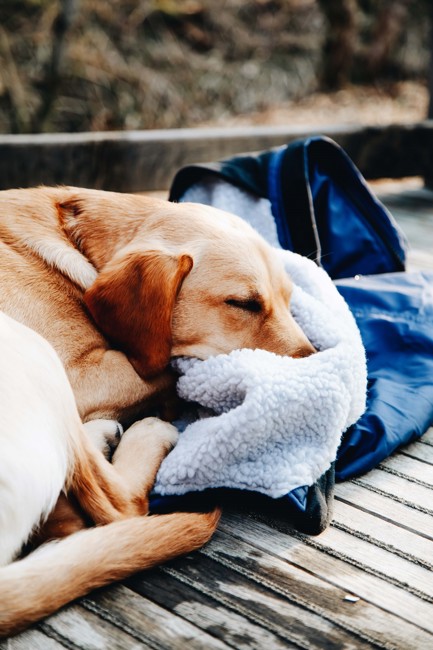 Isle of Mull | Isle Of Mull Hotel And Spa Wilderness Spa 3925