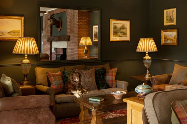 Glencoe Inn | Lounge Dog